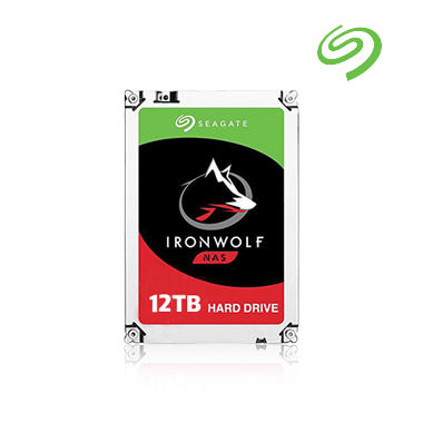 SEAGATE IronWolf 12TB